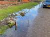 IMG-20220224-WA0004