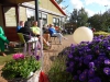 SAM_3448