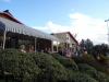 SAM_3455